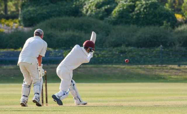 Fantasy Cricket